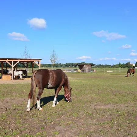 Lovely In With Wifi 펜션 쇼어파이드