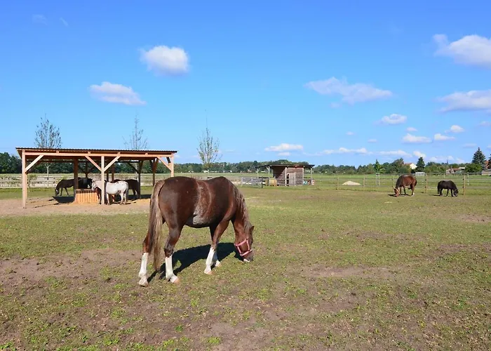 Lovely In With Wifi Prázdninový dům Schorfheide